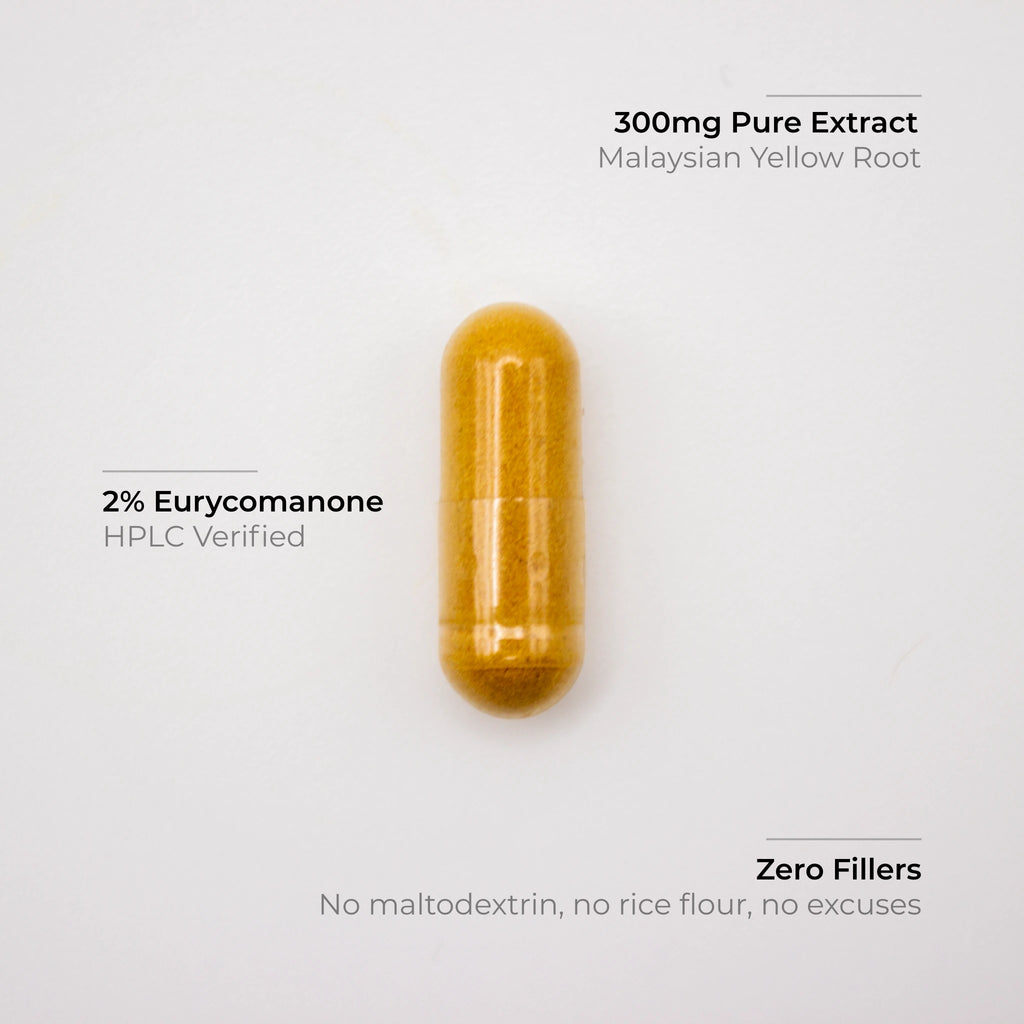 Malaysian Yellow Tongkat Ali