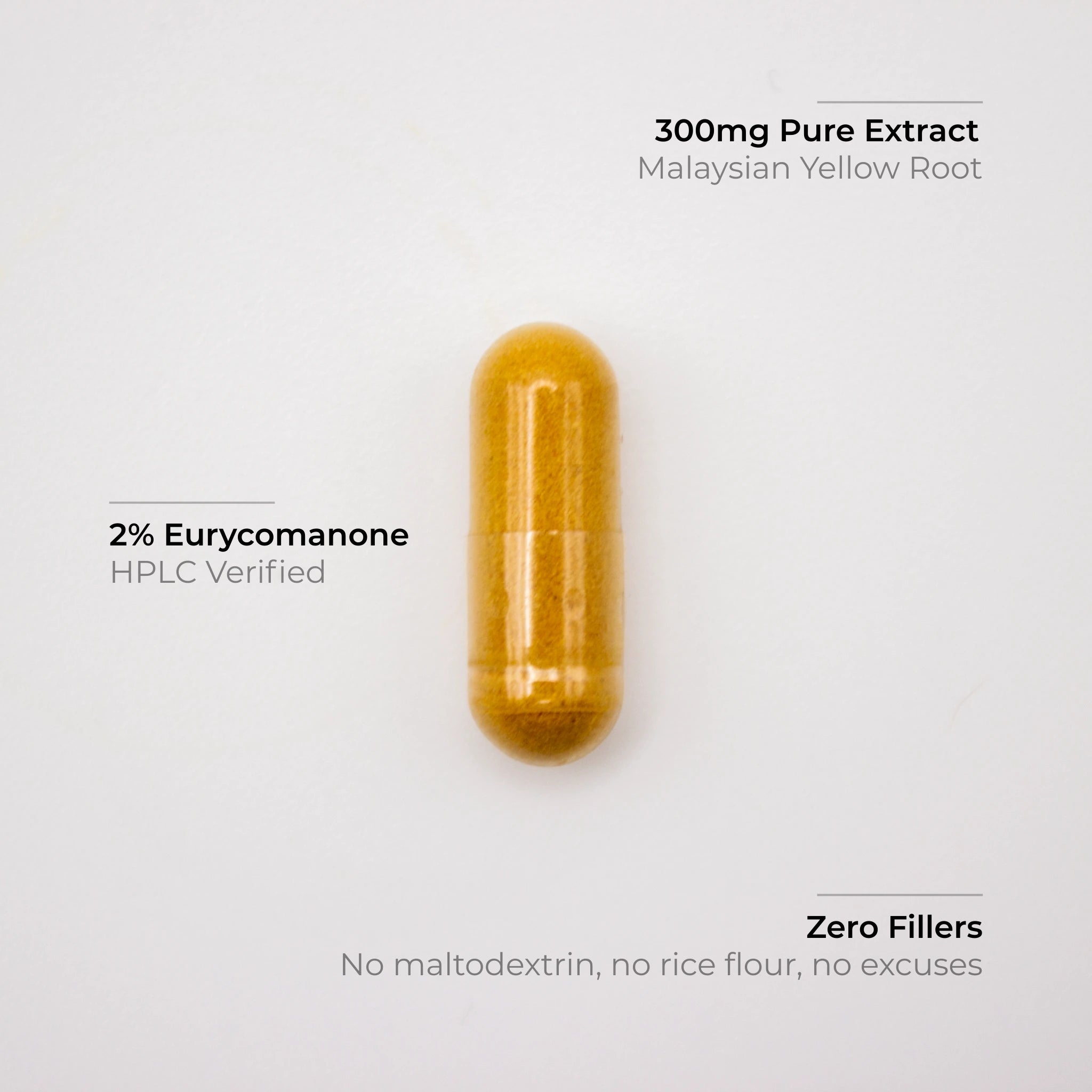 Malaysian Yellow Tongkat Ali